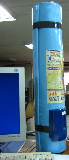 ที่รองนอนอันใหม่
