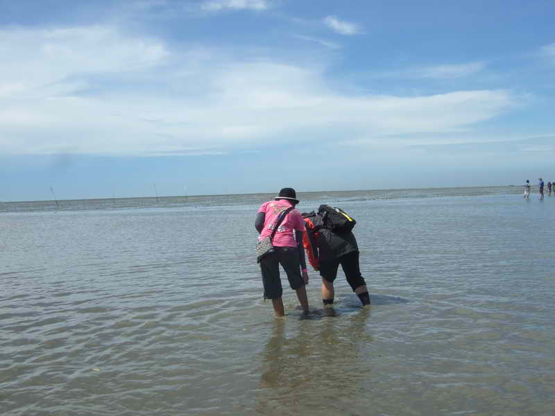 DSCF5511.JPG