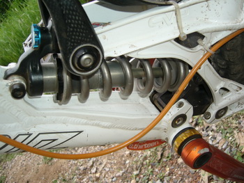 P1030637_resize.JPG