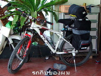 DSCF7784.jpg