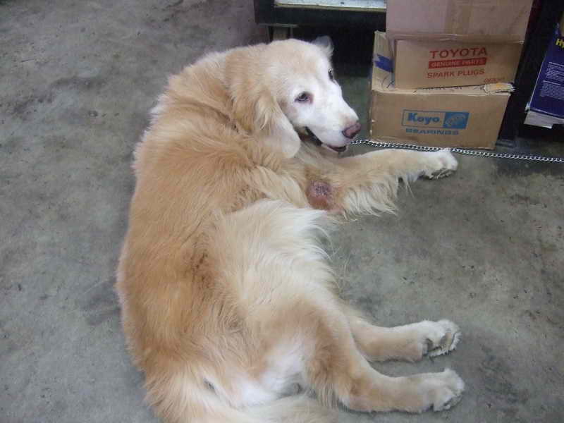 DSCF5794.JPG