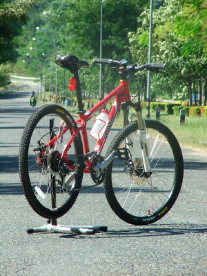 a15.jpg