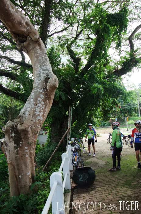 เราแวะที่คอขอดกระประมาณสิบนาที เพราะวางแผนว่าต้องไปกินข้าวเที่ยงที่ กม.30 ยังเหลือระยะทางอีก เกือบ 50 กม.