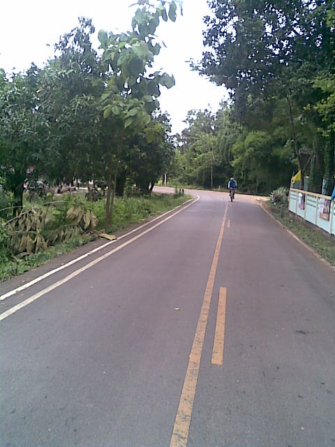 ภาพ061.jpg