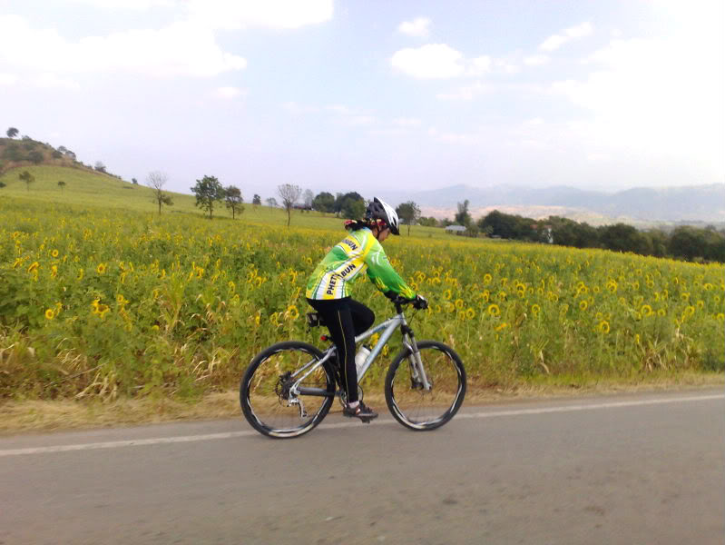 201220082747.jpg