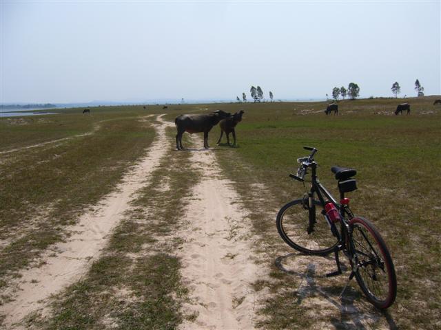 P1080787.JPG