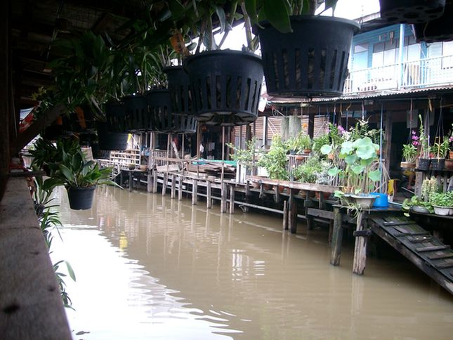 SANY2231.jpg