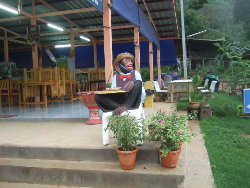 DSCF6263.JPG