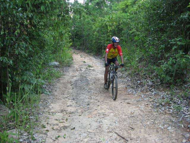 Picture-243.jpg