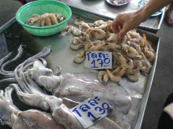 CIMG9817.jpg