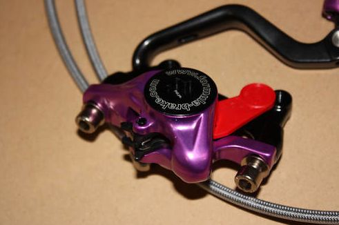 R1Purple2.jpg