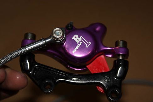 R1Purple3.jpg