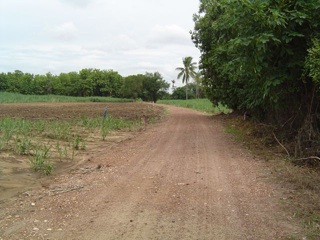 DSC01835.JPG