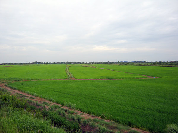 IMG_3537.jpg