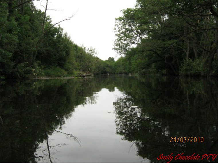 IMG_2060sw.JPG