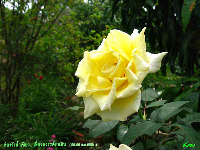 ResizeIMG_1005.jpg