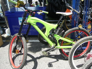 P1030770_resize.JPG