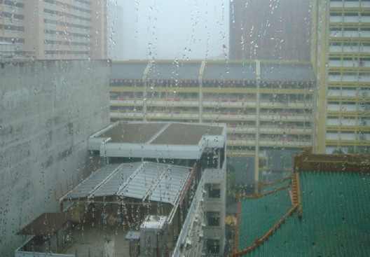 97.jpg