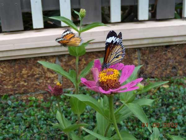 DSCN6193.JPG