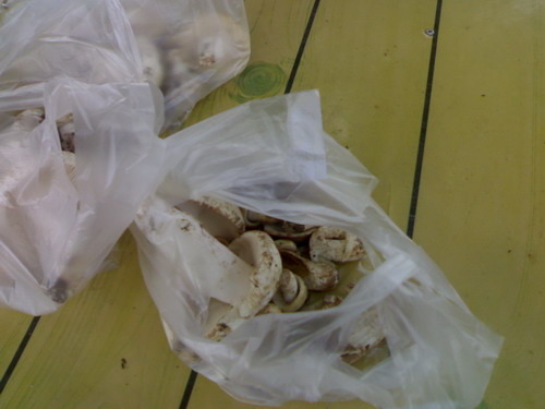 22082010566_resize.jpg