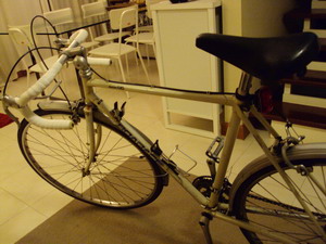DSC03215.jpg
