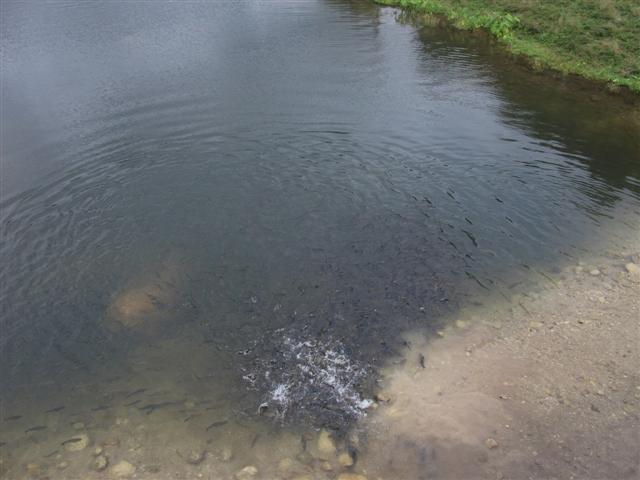 DSCF5115 (Small).jpg