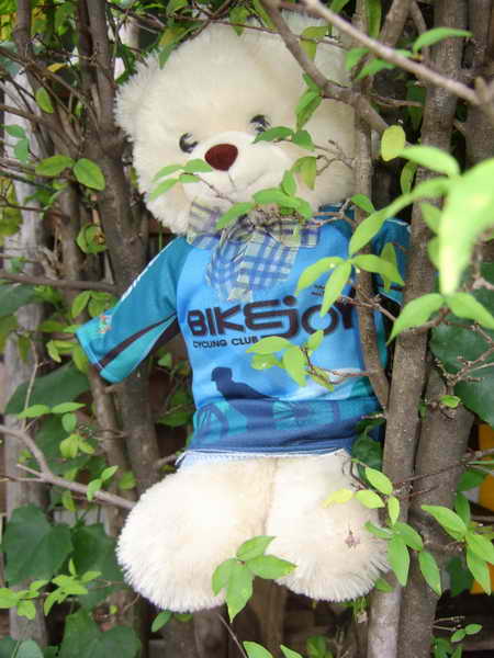 DSCF5857.jpg