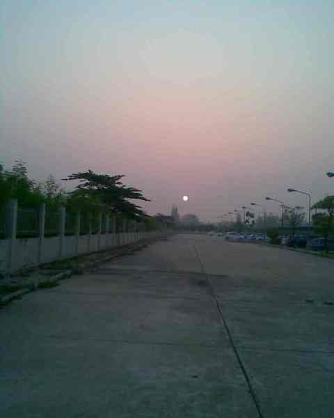 ภาพ102.jpg