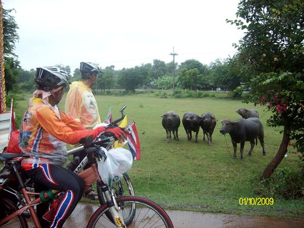 ..เขามองเรา..เรามองเขา..