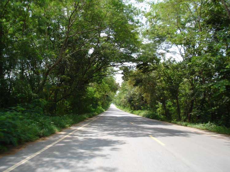 b6.jpg