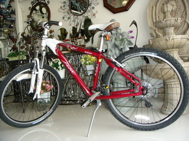DSC07445_resize.JPG