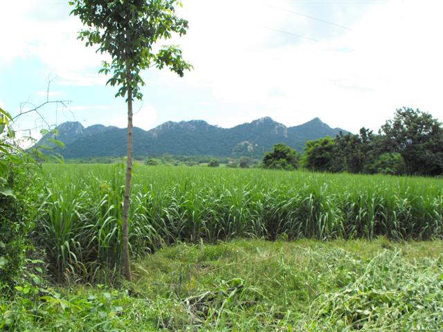 DSCF0038 (Small).jpg