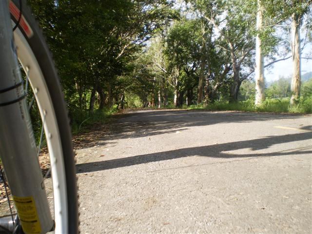 P9180195 (Small).JPG