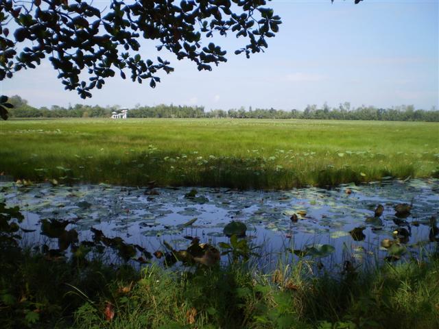 P9180192 (Small).JPG
