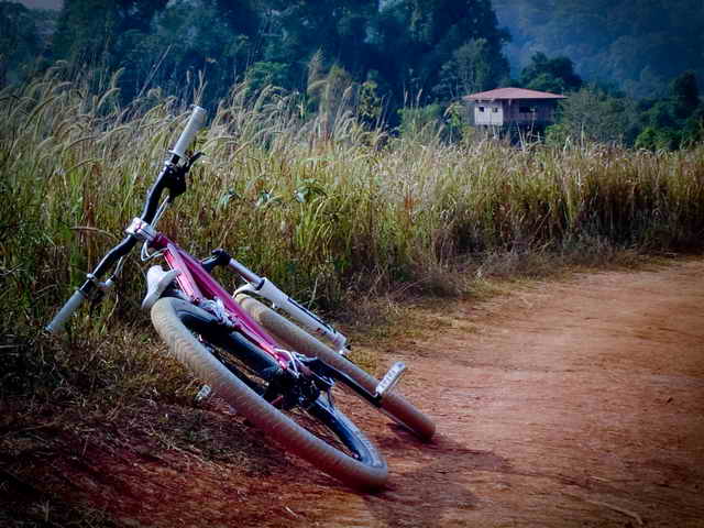 DSC00137_resize.jpg