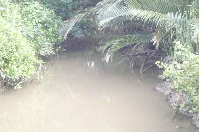 Image00060.jpg