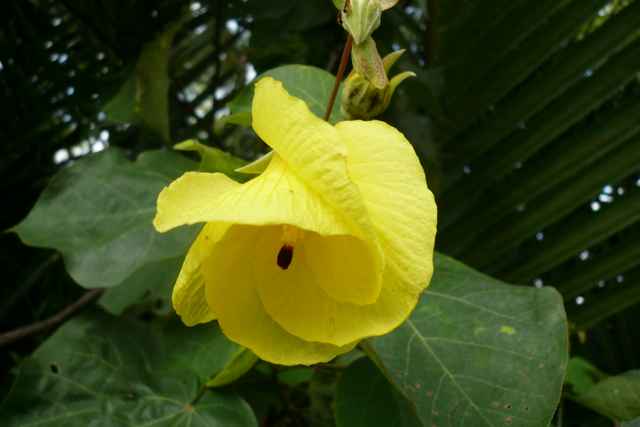 Image00087.jpg