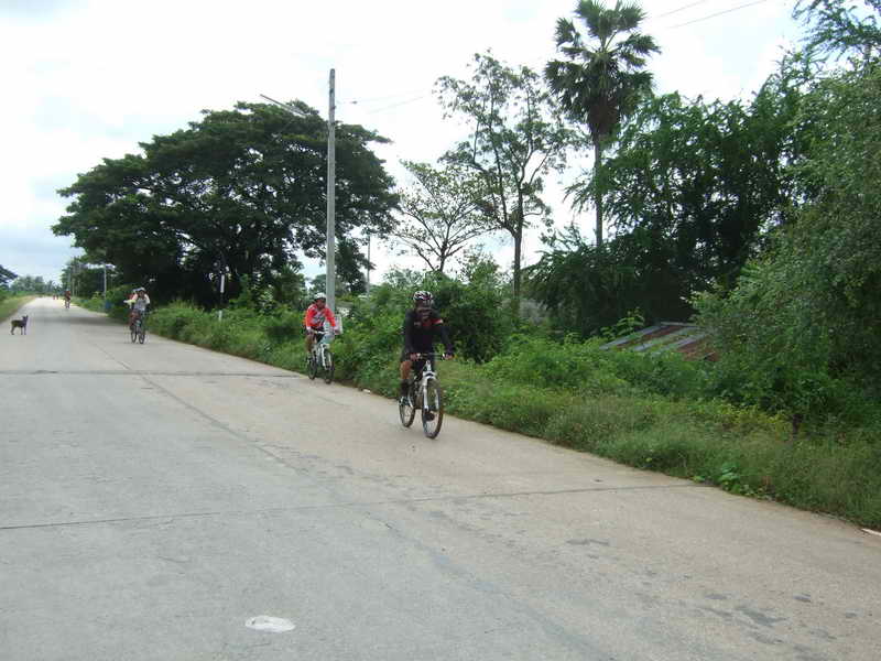 DSCF0080.JPG