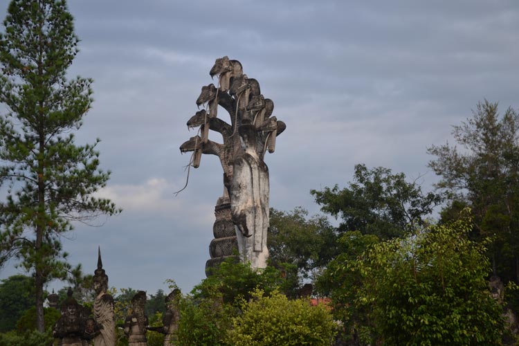 DSC_0017.jpg