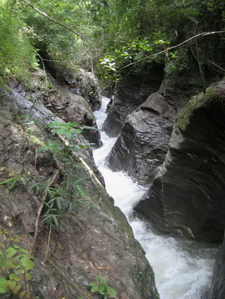 IMG_6679.JPG