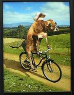 cowbike.jpg