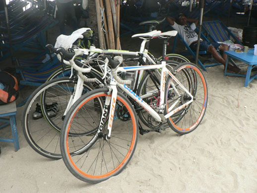 P1080261 copy.jpg