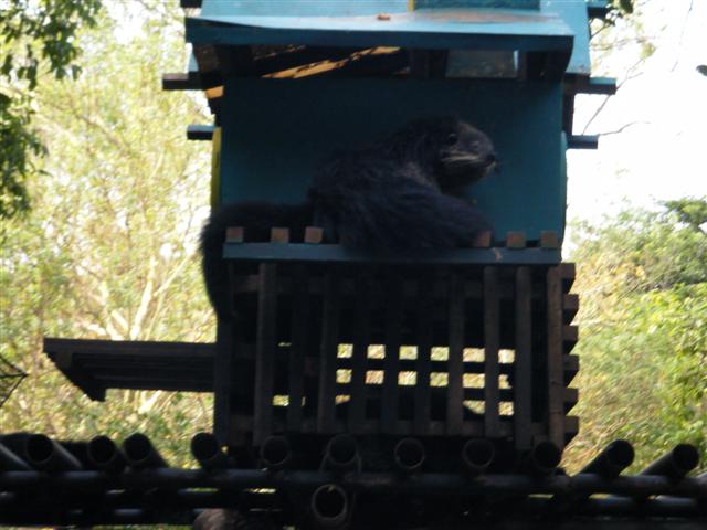 DSCF1190 (Small).JPG