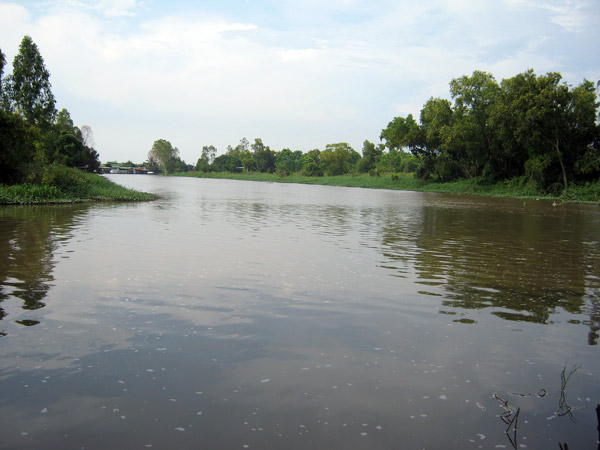 IMG_4263.jpg