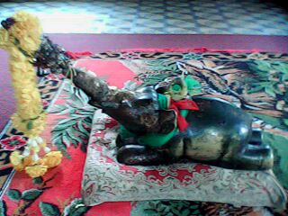 IMG0198A.jpg