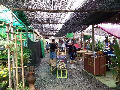 Resize_400_kdk_1619.jpg