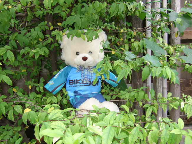 DSCF5861.JPG