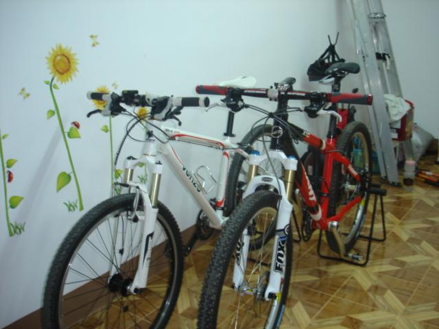 DSC01168 (Small).JPG