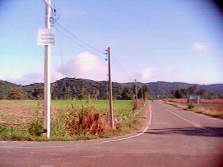 มีเขาบ้างนิดหน่อย
