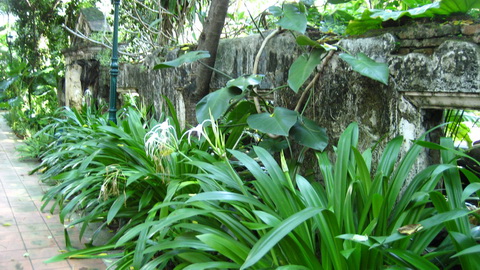 IMG_0660_resize.JPG